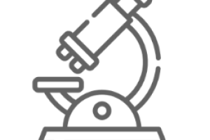 andrology